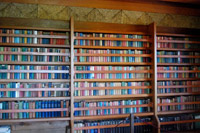 ���{�j�̗�