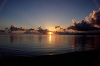 �����ɐ؂�ς��Ă݂�