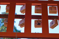 ��w�󌱂Ɏ��s���Ȃ����߂�7�J��